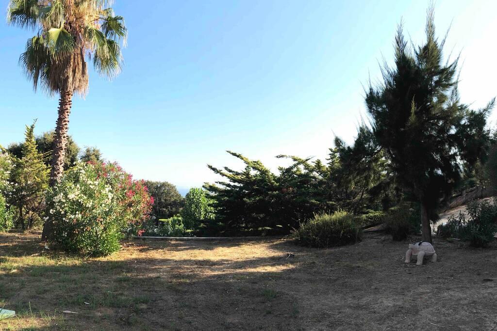 Rez De Villa Bordure Ajaccio Ajaccio  Exterior foto